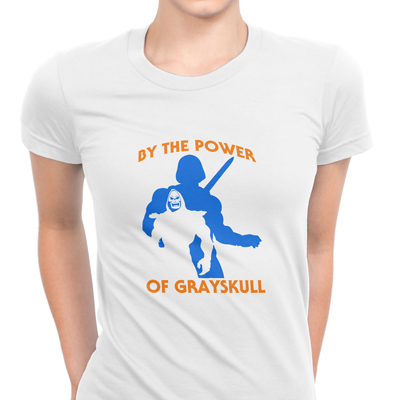 by the power of grayskull